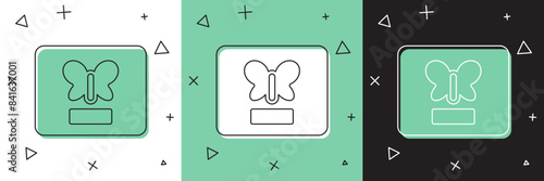 Set Butterfly in a frame icon isolated on white and green, black background. Herbarium. Vector