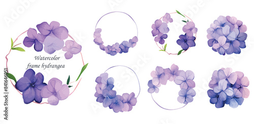 watercolor hydrangea frame.watercolor hydrangea frame. Botanical design. 