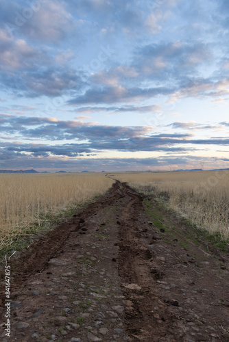 A dirt road leading out to the distant horizon running through a prairie in the Agua Fria National Monument in Arizona.
