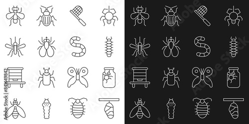 Set line Butterfly cocoon, Spider in jar, Centipede, net, Insect, Mosquito, and Worm icon. Vector
