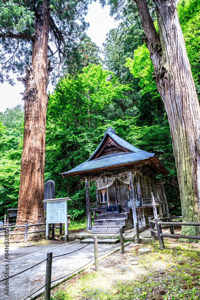 Tranquil Shinto Shrine in Verdant Forest, Iimori Mountain, Aizuwakamatsu, Japan Tranquil Shinto Shrine in Verdant Forest, Iimori Mountain, Aizuwakamatsu, Japan