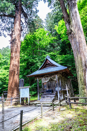 Tranquil Shinto Shrine in Verdant Forest, Iimori Mountain, Aizuwakamatsu, Japan photo