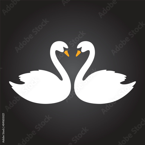 swan couple vector illustration