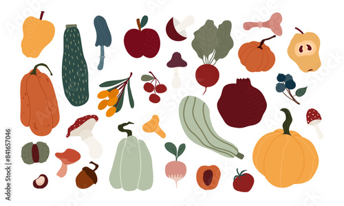 Flat isolated illustration of various autumn seasonal food including pumpkins, gourds, mushrooms, and berries. Perfect for seasonal design projects 