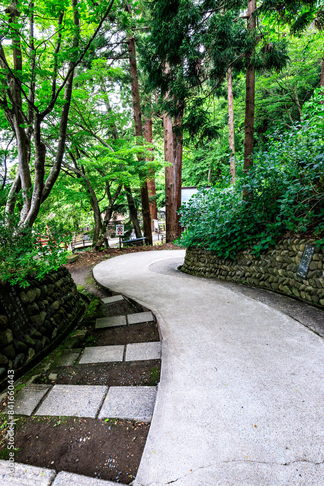 Enchanted Forest Pathway: A Journey Through Nature, Aizuwakamatsu, Japan Enchanted Forest Pathway: A Journey Through Nature, Aizuwakamatsu, Japan