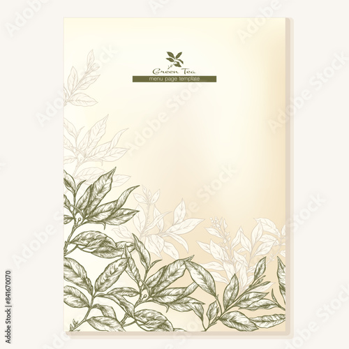 Green tea branch with leaves Border, frame, template for menu page, product label, cosmetic packaging. Vector illustration. In botanical style