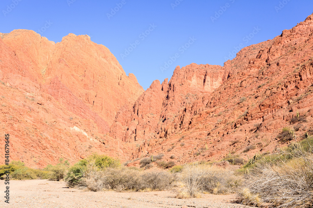 Fototapeta premium Bolivian canyon near Tupiza,Bolivia