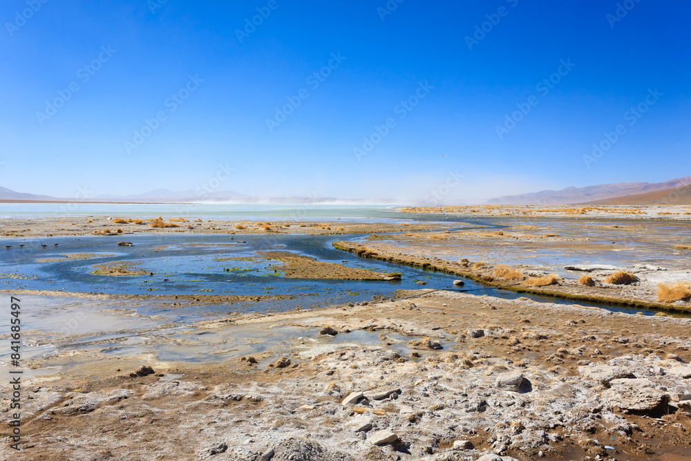 Bolivian lagoon landscape,Bolivia