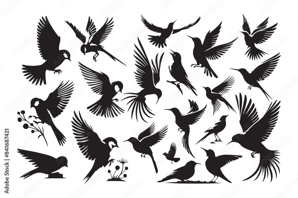 Obraz premium Set of Bird Silhouette Vector Artworks