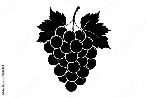 grapes vector illustration silhouette