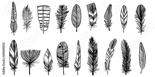 Freehand bird parrot ethnic tribal feathers hand drawn doodle in simple minimalist style bird animal natural textures set collection