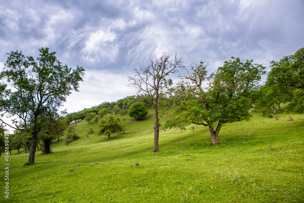 Photo with landscape and beautiful green nature in the Republic of Moldova, a small friendly country in Eastern Europe. Photo with landscape and beautiful green nature in the Republic of Moldova, a small friendly country in Eastern Europe.