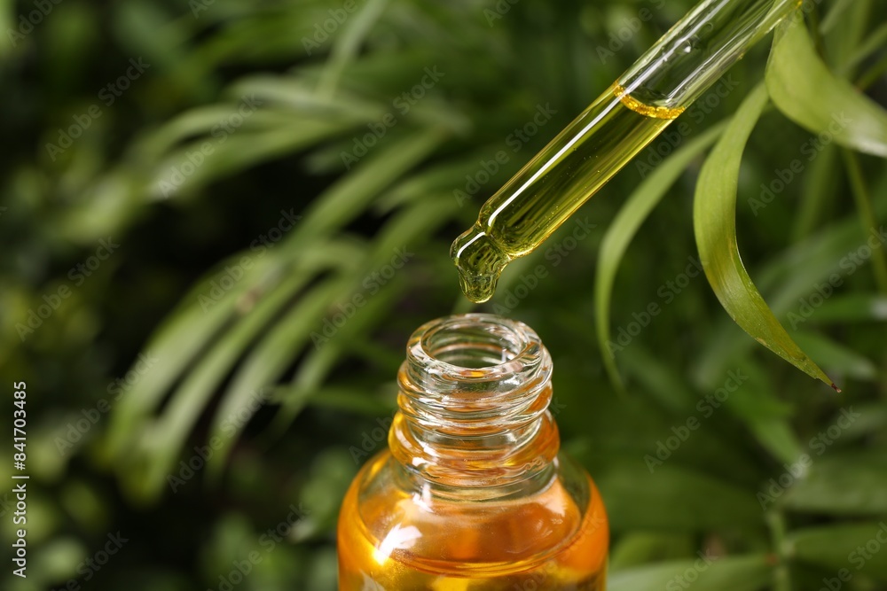 Dripping essential oil from pipette into bottle outdoors, closeup Dripping essential oil from pipette into bottle outdoors, closeup