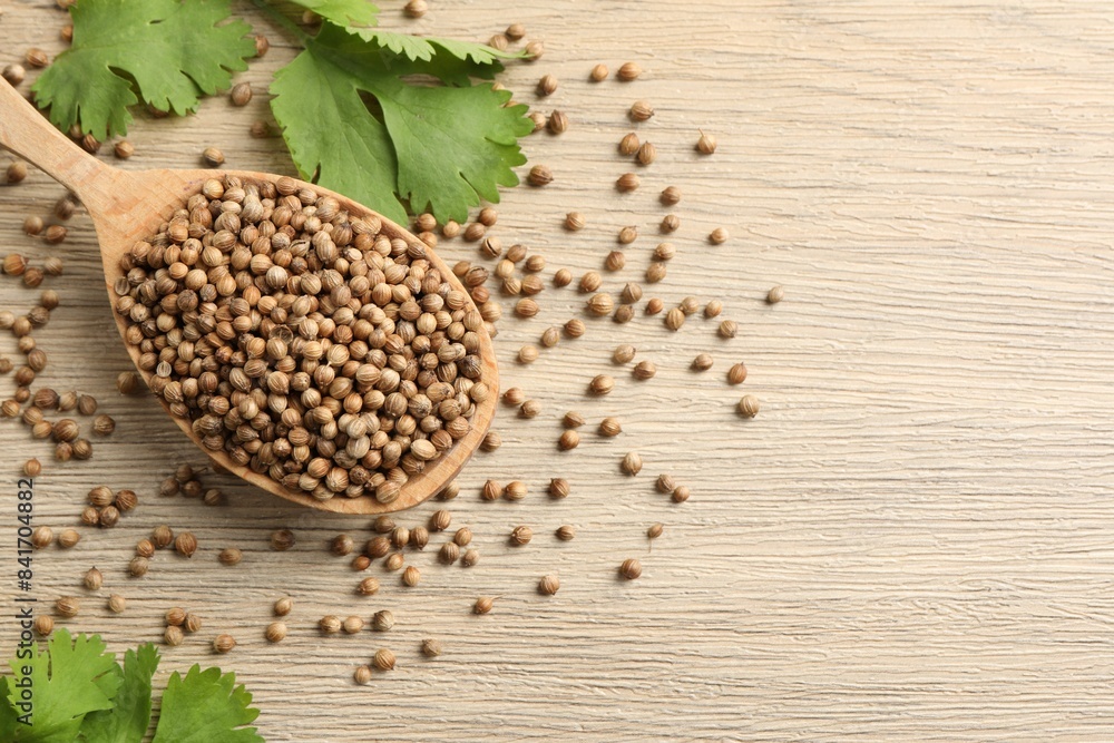 Spoon with dried coriander seeds and green leaves on wooden table, flat lay. Space for text Spoon with dried coriander seeds and green leaves on wooden table, flat lay. Space for text