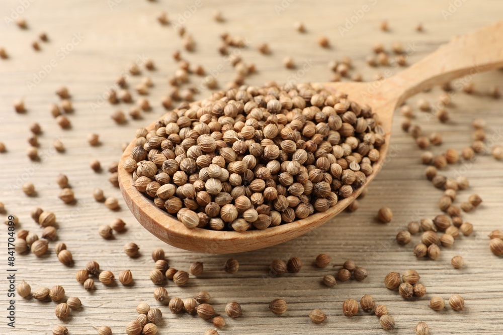 Spoon with dried coriander seeds on wooden table, closeup