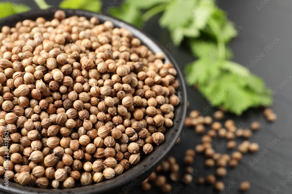 Dried coriander seeds in bowl on dark gray table, closeup Dried coriander seeds in bowl on dark gray table, closeup