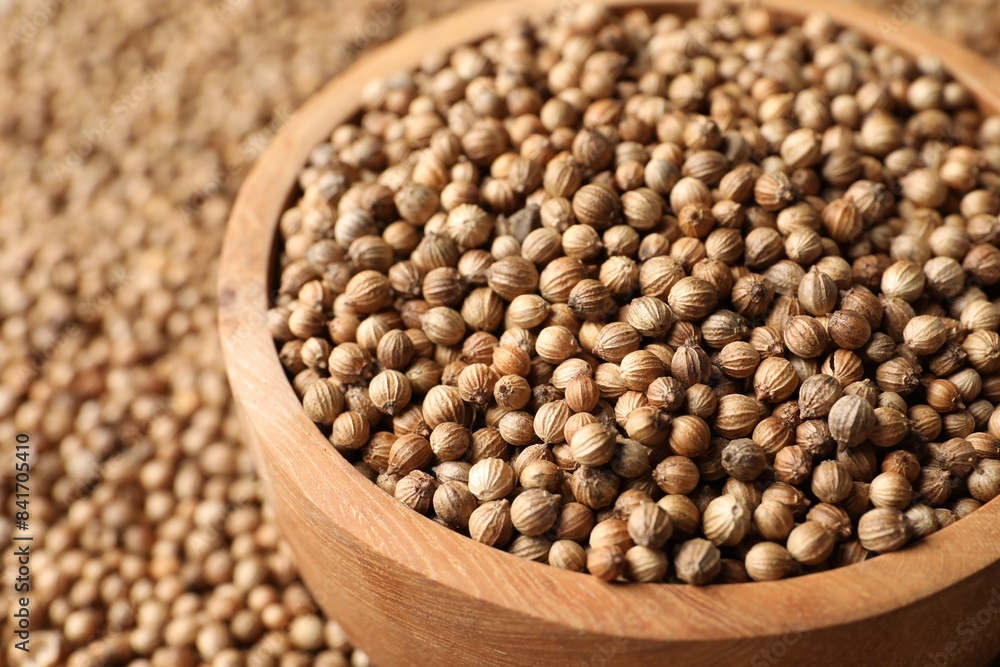 Dried coriander seeds in bowl, closeup view Dried coriander seeds in bowl, closeup view