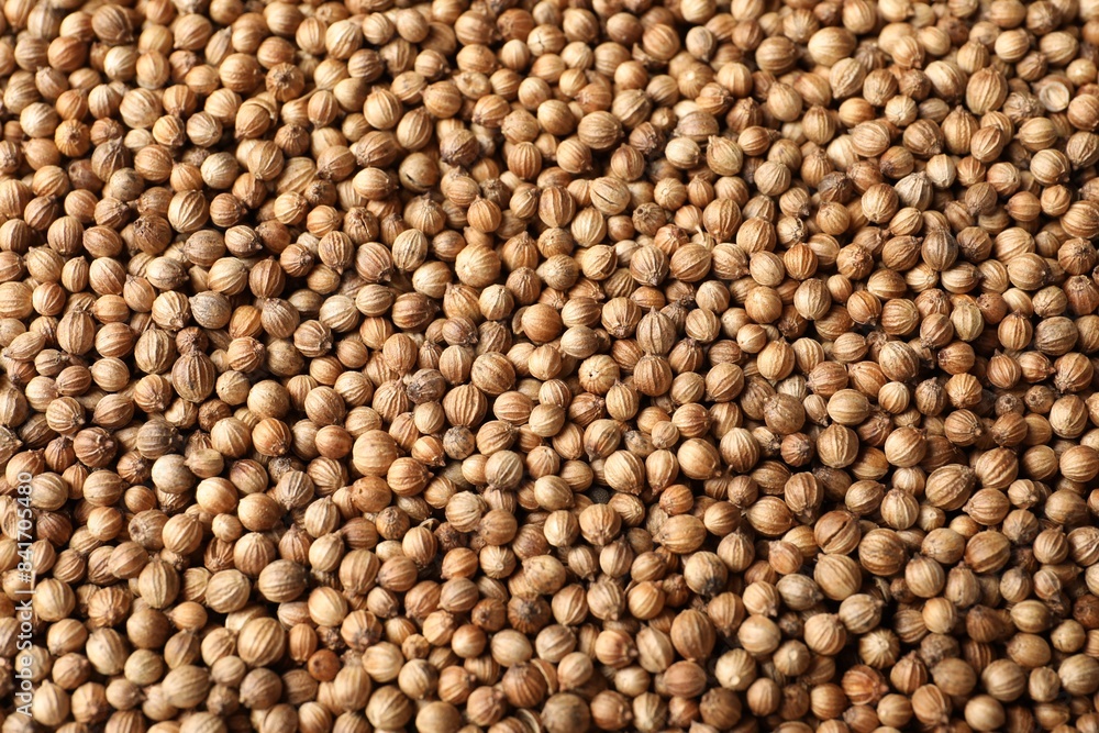 Dried coriander seeds as background, top view Dried coriander seeds as background, top view