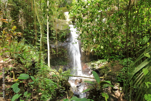 Green garden at Goa Gajah (Elephant Cave) Temple near Ubud, Bali, Indonesia photo