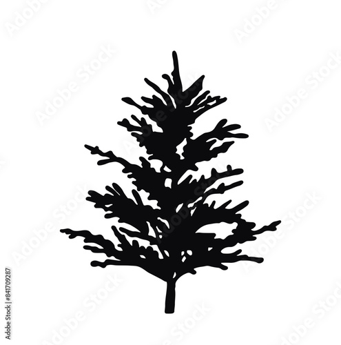 Silhouette of a small coniferous Christmas tree. black illustration