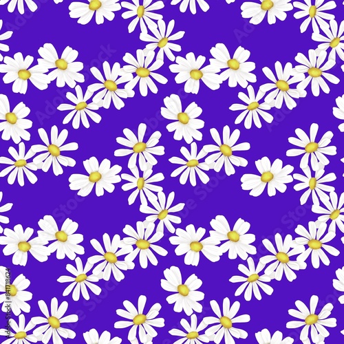 Seamless floral pattern. White chamomile on a blue lilac background drawn by hand