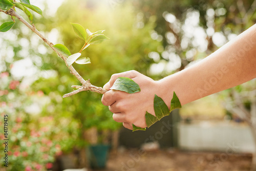 Nature, partnership and shaking hands with tree for ecology, sustainability or help on earth day outdoor in summer. Leaf, person and handshake with plant for growth, environment or agreement closeup