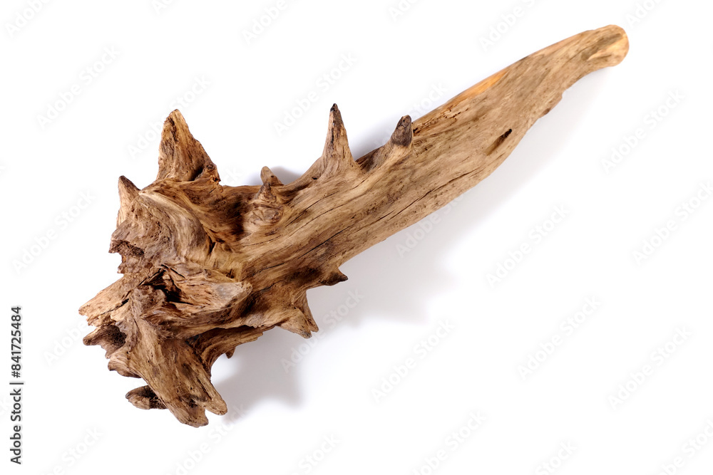 Fototapeta premium Wooden Stone Age Club isolated on white Background