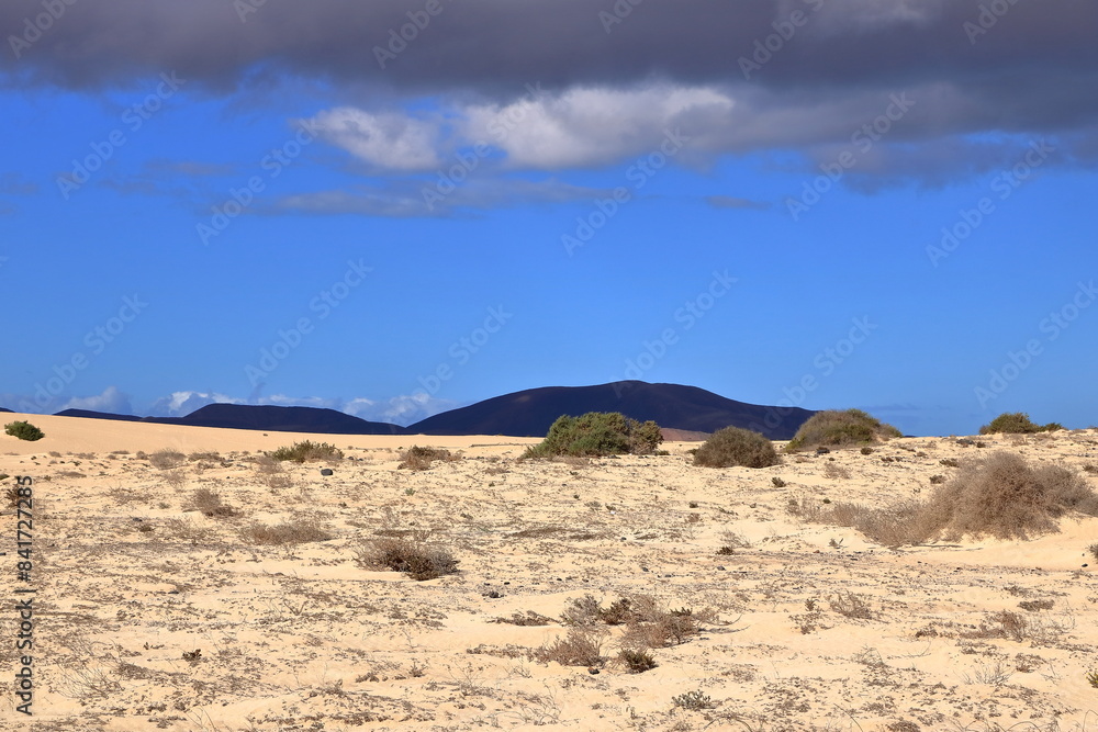 View of the dune Corralejo on the Canary island of Fuerteventura View of the dune Corralejo on the Canary island of Fuerteventura