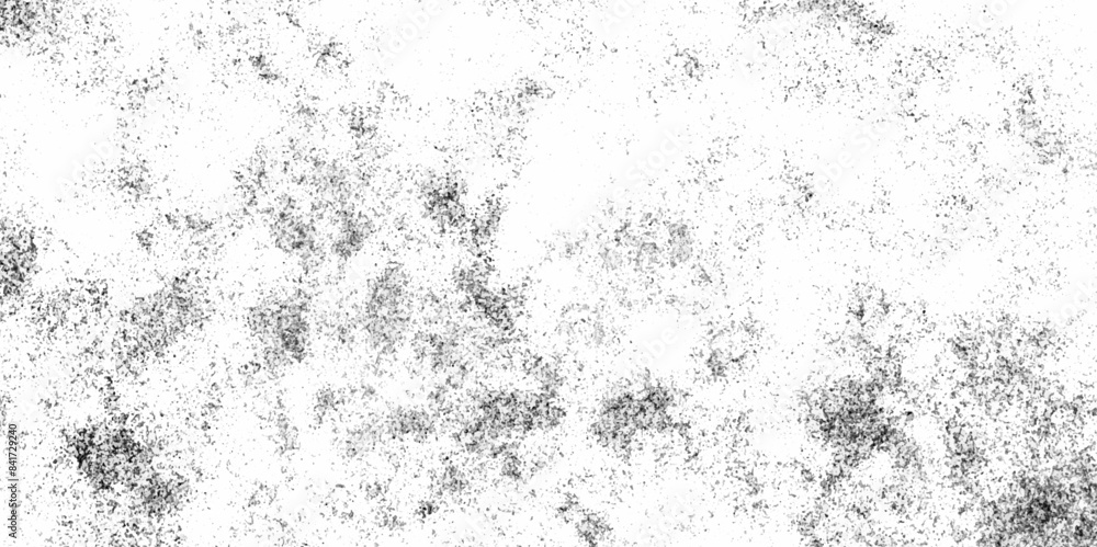 Abstract white, black texture of a grunge concrete wall with cracks and scratches background. distressed grunge concrete wall texture. abstract vintage of old surface dusty rough texture background.
Abstract white, black texture of a grunge concrete wall with cracks and scratches background. distressed grunge concrete wall texture. abstract vintage of old surface dusty rough texture background.