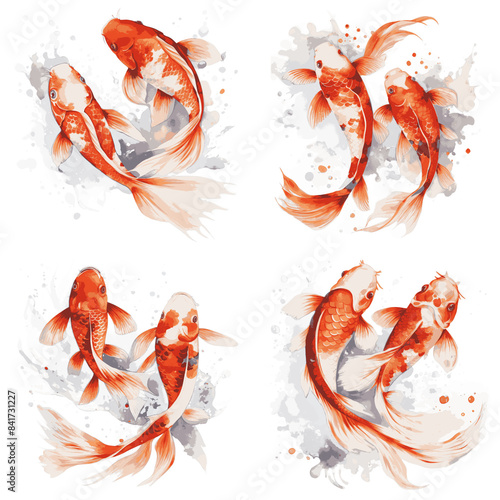 A watercolor painting of four pairs of orange and white koi fish swimming through water, depicted with white splashes on a white background photo