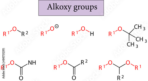 Vector illustration of Alkoxy groups.