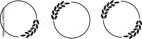 Foliate laurels branches set isolated on white background