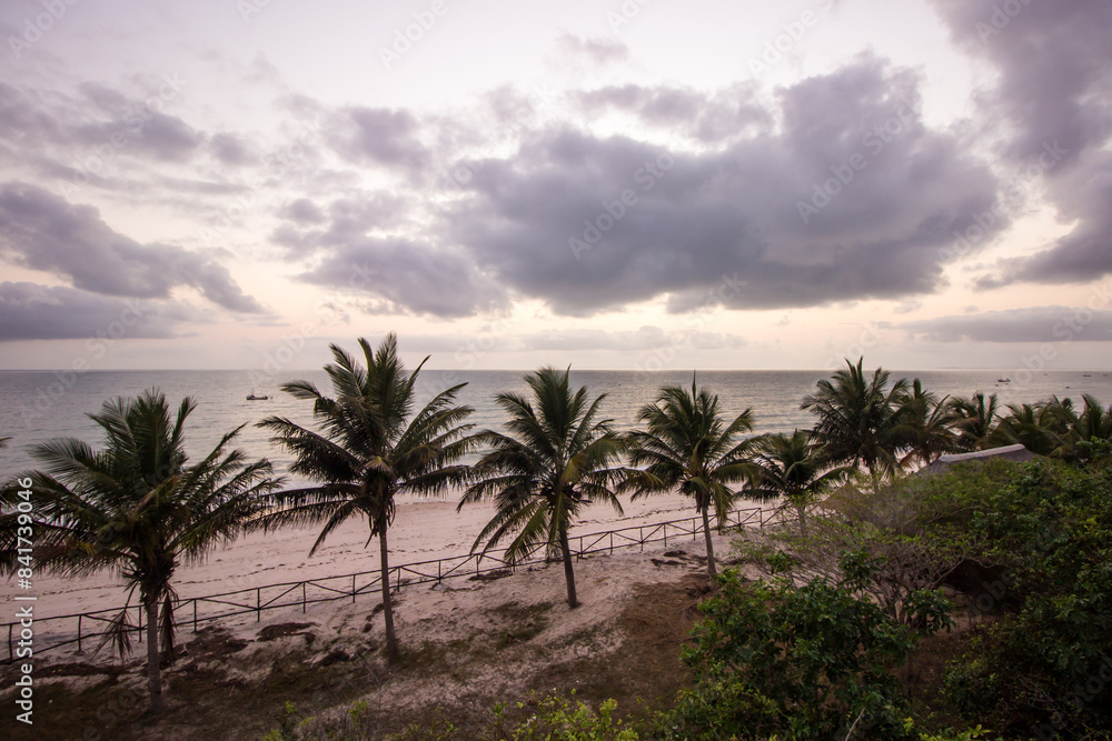 Predawn view over a line of coconut palm trees on the Inhassoro beach in Mozambique Predawn view over a line of coconut palm trees on the Inhassoro beach in Mozambique