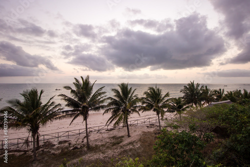 Predawn view over a line of coconut palm trees on the Inhassoro beach in Mozambique