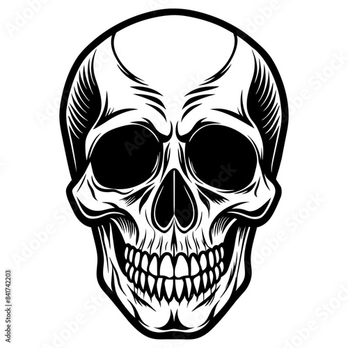 Detailed black and white human skull for educational, medical, and forensic purposes, perfect for halloween, gothic, and spooky themed designs