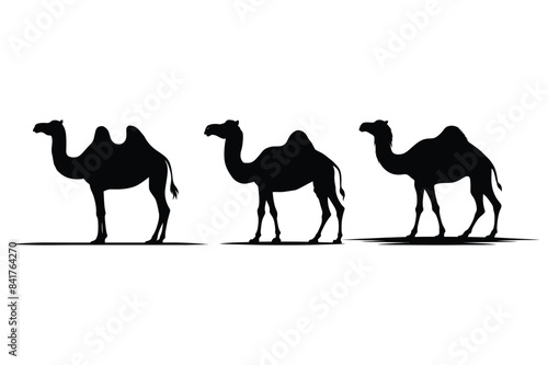 Camel Vector Silhouette Illustration