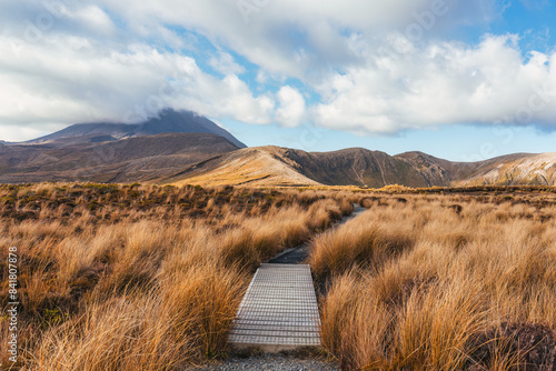 Landscape of golden meadow with volcanic mountain in Tongariro alpine crossing track at New Zealand photo