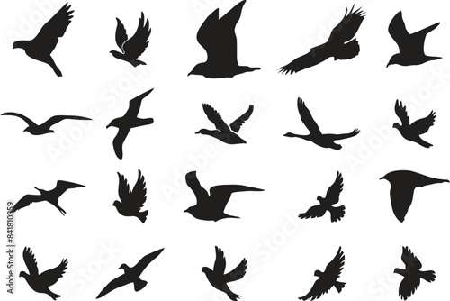 Silhouette of a flock of flying birds. Editable vector for designing kids games. Birds feeding  breeding  sale and purchase poster or banner for media and web. eps 10.
