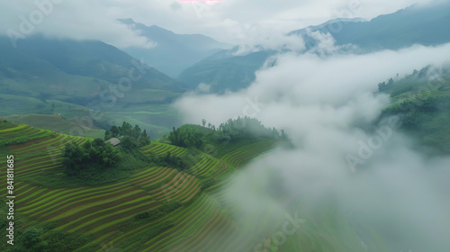 Misty Mountain Terraces: A Serene Landscape photo