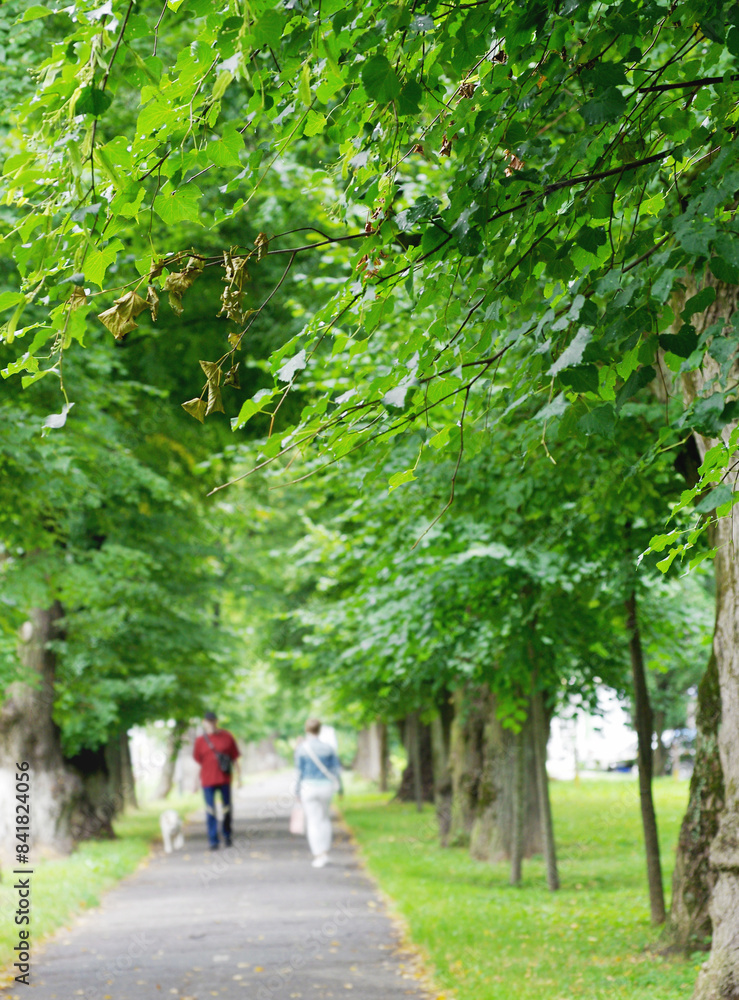 Blurred defocused people are walking in the park. Blurred defocused people are walking in the park.
