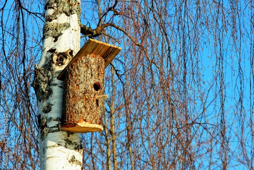 Beautiful natural wooden birdhouse on birch tree & blue sky background. Single birdhouse of birch wood log, sunny winter or spring day. Food birdhouse forest scene. Animal life care welcome home theme
