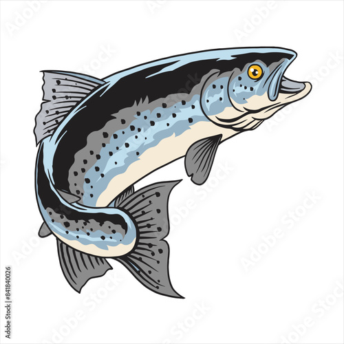 Vector Illustration of Steelhead Trout Fish with Vintage Illustration
