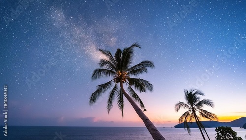 starry night sky against with coconut palm tree and romantic evening twilight sky