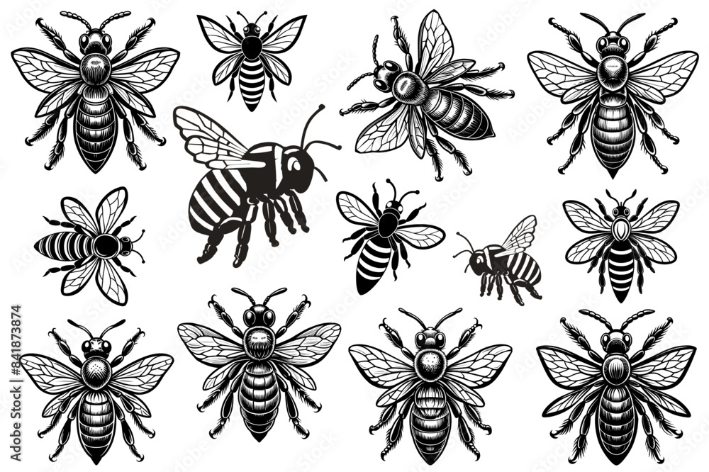 Honey bees with spread wings in various poses for logos and designs related to apiaries and beekeeping. Farm insect set ideal for nature, wildlife and agriculture enthusiasts Honey bees with spread wings in various poses for logos and designs related to apiaries and beekeeping. Farm insect set ideal for nature, wildlife and agriculture enthusiasts