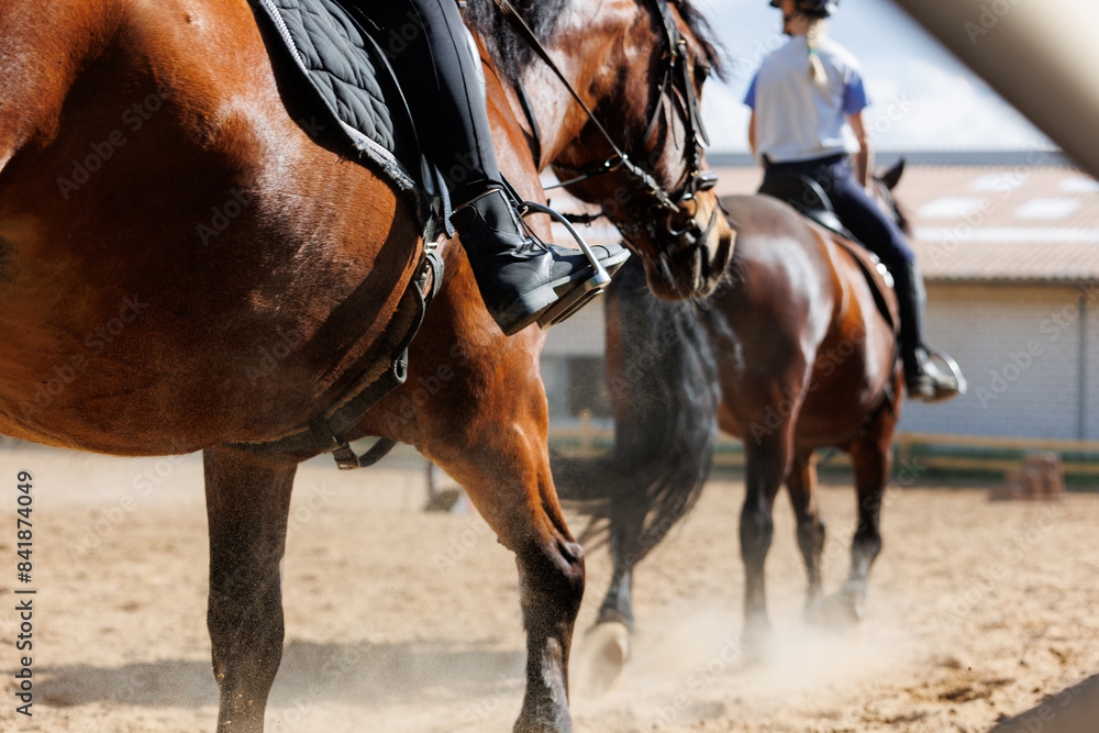 Obraz premium Horse riding school. Little children girls at group training equestrian lessons at outdoors ranch horse riding yard. Cute little beginner kid, closeup feet leg chestnut brown horse