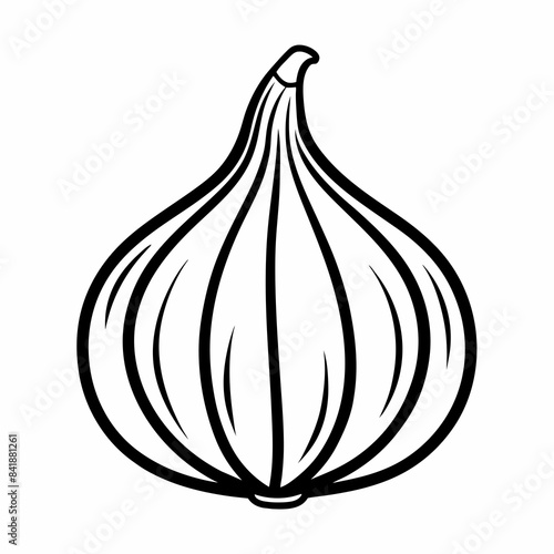 onion isolated on white