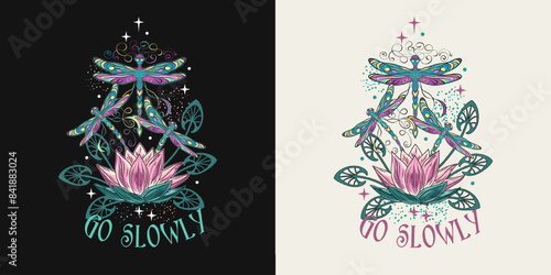 Colorful fantasy composition, label with lotus flower, flying fantasy dragonflies, dragonfly pixie, faerie, stars and text. Mysterious, mystical concept. Vintage style.
