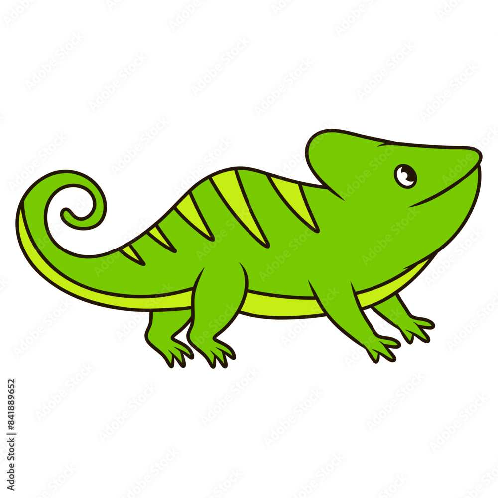Fototapeta premium chameleon vector illustration