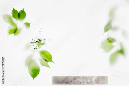 Green leaves on a white  blurred background. Product presentation scene.