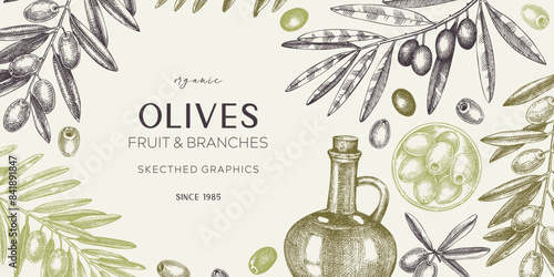 Olive oil banner design. Olives, tree branches, oil bottle sketches. Mediterranean food background in retro style. Hand-drawn vector illustration. NOT AI generated.